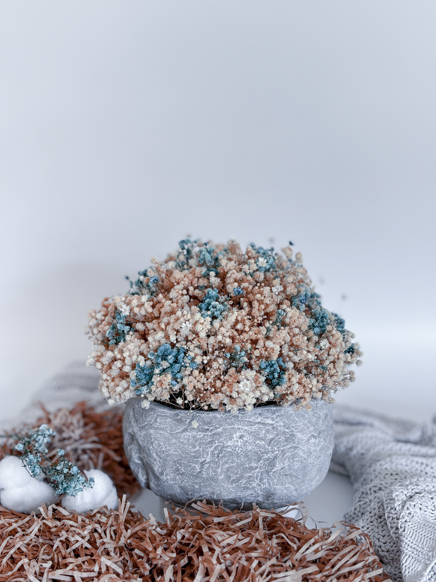 Vanilla & Baby Blue Dried Flower Bouquet